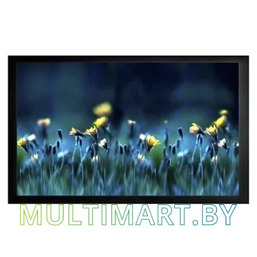 Проекционный экран CACTUS FrameExpert 113x200 (CS-PSFRE-200X113)